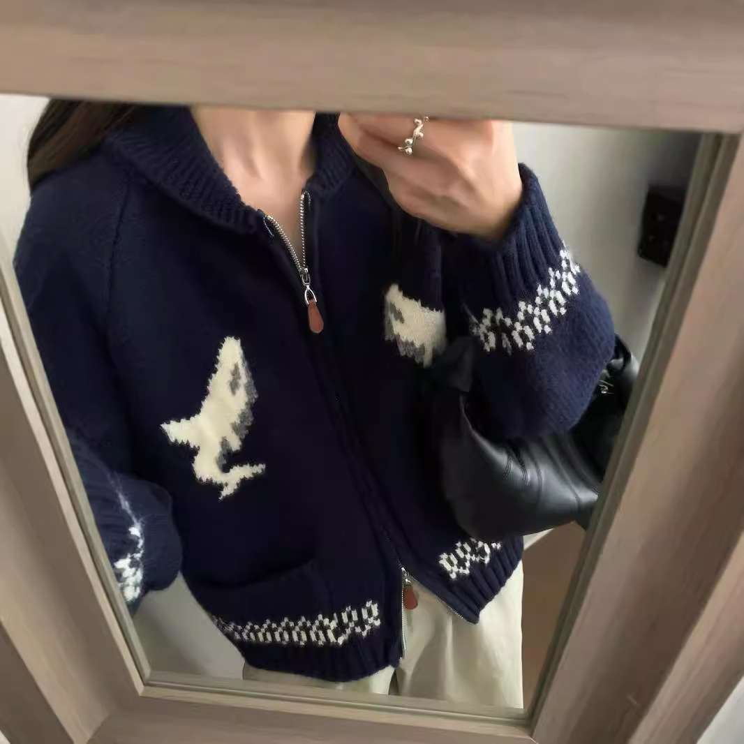 韓国ファッション 恐竜デザインジップアップニットカーディガン